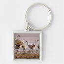 Pesquisar por suporte chaveiros Animal