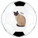 Pesquisar por olhos bola futebol Gato