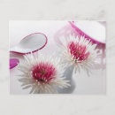 Pesquisar por beleza natural cartoes postais Ninguém