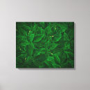 Pesquisar por erva impressão de canvas Amarelo