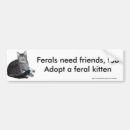 Pesquisar por feroz adesivos carros Gatinhos