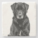 Pesquisar por cachorro porta copos Labrador