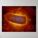 Pesquisar por partículas pôsteres Ilustração