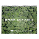 Pesquisar por florestas calendarios Selvas