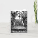 Pesquisar por barba branca cartoes Preto