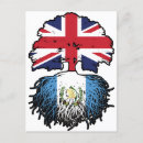 Pesquisar por bandeira de guatemala cartoes postais Guatemalan