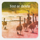 Pesquisar por ganso adesivos Animal