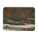 Pesquisar por caça imas Rio