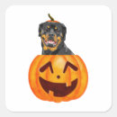 Pesquisar por rottweiler adesivos Giro