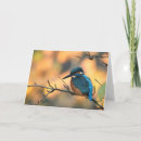 Pesquisar por kingfisher cartoes Punhal