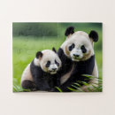 Pesquisar por do urso panda quebra cabecas Animal