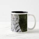 Pesquisar por tigre branco canecas Grande felino