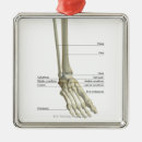 Pesquisar por parte dianteira ornamentos Médico