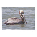 Pesquisar por pelicano marrom Animal