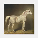 Pesquisar por sela imas Equestre