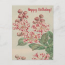 Pesquisar por flores de cerejeira cartoes Vintage