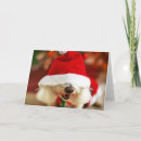 Pesquisar por frise do bichon cartoes Animal