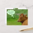 Pesquisar por vaca engraçada cartoes Animal