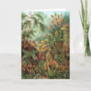 Pesquisar por ilustração botânica cartoes Flores