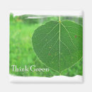 Pesquisar por pense verdes imas Natureza