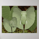 Pesquisar por orelhas elefante pôsteres Natureza
