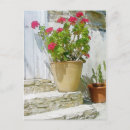 Pesquisar por gerânio vermelho cartoes postais Aquarela