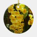 Pesquisar por flor da orquídea ornamentos Qualquer pessoa
