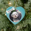 Pesquisar por animal ornamentos Dogs