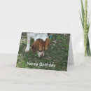 Pesquisar por beagle birthday cartoes Animal