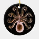 Pesquisar por steampunk ornamentos Polvo