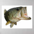 Pesquisar por baixo largemouth Boca
