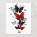 Pesquisar por borboleta flyers Branco