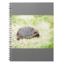 Pesquisar por love cadernos de notas For kids