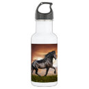 Pesquisar por sela garrafa agua Cavalo