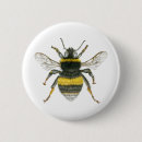 Pesquisar por bumble a abelha botons Abelhas