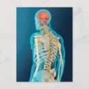 Pesquisar por coluna vertebral cartoes postais 3d