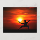 Pesquisar por fu do kung cartoes Kungfu