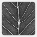 Pesquisar por veias adesivos Natureza