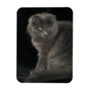 Pesquisar por gato azul russo cozinha jantar Gatinho