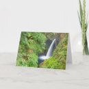 Pesquisar por judy cartoes Jamie