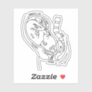 Pesquisar por anatomia adesivos Médico