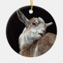 Pesquisar por goat ornamentos Cabra