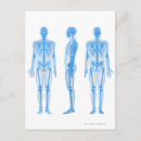 Pesquisar por medicine cartoes postais Arte