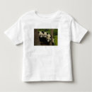 Pesquisar por musgo animal camisetas Urso
