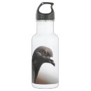 Pesquisar por pombo garrafa agua Bonito