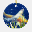 Pesquisar por carpa koi ornamentos Peixe dourado