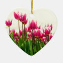 Pesquisar por flor dada forma coração Flores