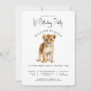 Pesquisar por leão do bebê convites Fofofo