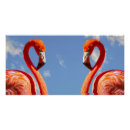 Pesquisar por flamingo pósteres pôsteres For kids