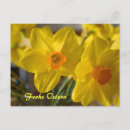 Pesquisar por ostern cartoes postais Primavera